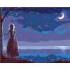 ZUTY Maľovanie podľa čísel PRINCEZNA DÍVAJÚCA SA NA MESIAC Rámovanie bez rámu a bez vypnutia plátna Rozmer 80x100 cm ZUTY Maľovanie podľa čísel PRINCEZNA DÍVAJÚCA SA NA MESIAC Rámovanie bez rámu a bez vypnutia plátna Rozmer 80x100 cm