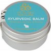Healing Nature Ajurvédský balzam 80 ml Healing Nature Ajurvédský balzam 80 ml