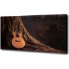Foto obraz na plátne do obývačky Akustická gitara 100x50 cm Foto obraz na plátne do obývačky Akustická gitara 100x50 cm