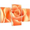 Obraz oranžové ruže (Obraz 90x60cm) Obraz oranžové ruže (Obraz 90x60cm)