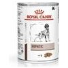 Royal Canin VD Canine Hepatic konzerva 420 g