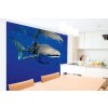 Samolepiaca vliesová fototapeta Žralok obrovský 375 x 250 cm Samolepiaca vliesová fototapeta Žralok obrovský 375 x 250 cm