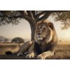 DINO Puzzle Odpočívajúci lev 500 dielikov DINO Puzzle Odpočívajúci lev 500 dielikov