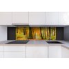 DIMEX | Dibond doska za kuchynskú linku | DBW-18060-045 Jesenný les | 180 x 60 cm + Dibond obkladová doska Dimex do kuchyne Jesenný les v rozmere 180 x 60 cm DIMEX | Dibond doska za kuchynskú linku | DBW-18060-045 Jesenný les | 180 x 60 cm + Dibond obkladová doska Dimex do kuchyne Jesenný les v rozmere 180 x 60 cm