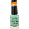 Provida Organics Living Nails COLOR Organic Nail Polish - 01 Patina Green Provida Organics Living Nails COLOR Organic Nail Polish - 01 Patina Green