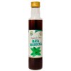 Salvia Paradise Máta marocká bylinný koncentrát 250 ml Salvia Paradise Máta marocká bylinný koncentrát 250 ml