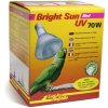 Lucky Reptile Bright Sun Bird 70W