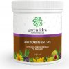 Green Idea Artroregen gel regenerácia po námahe 250 ml