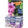 Hnojivo na čučoriedky a rododendróny v tabletách Silva tabs 25ks Hnojivo na čučoriedky a rododendróny v tabletách Silva tabs 25ks