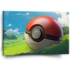 Sablio Obraz Pokemon ball Krajina - 60x40 cm Sablio Obraz Pokemon ball Krajina - 60x40 cm