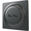 Zásuvka FIBARO Walli USB zásuvka matný antracit (FGWU-021-8) Zásuvka FIBARO Walli USB zásuvka matný antracit (FGWU-021-8)