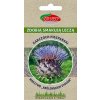 Semená Karczoch GRASPAPIER 1g - Torseed Semená Karczoch GRASPAPIER 1g - Torseed