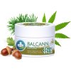 Annabis Balcann konopná Bio mast CBD+CBG 50 ml Annabis Balcann konopná Bio mast CBD+CBG 50 ml