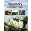Brambory - Bohumil Vokál Brambory - Bohumil Vokál
