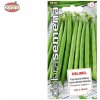Fazuľa kríčková zelená DS Delinel, 10 g Fazuľa kríčková zelená DS Delinel, 10 g