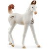 Schleich Zvieratko - Žriebä marwari Schleich Zvieratko - Žriebä marwari