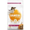 Krmivo Iams Dog Senior Small & Medium Chicken 3kg Krmivo Iams Dog Senior Small & Medium Chicken 3kg