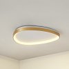 Lucande stropné LED svetlo Asken, 61 cm, zlaté, CCT, stmievateľné - 10041731 Lucande stropné LED svetlo Asken, 61 cm, zlaté, CCT, stmievateľné - 10041731