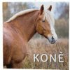 Koně 2026 - nástěnný kalendář Koně 2026 - nástěnný kalendář