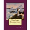 Cumbres Borrascosas Cumbres Borrascosas