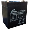 FSP 12V/4.5Ah baterie pro UPS FSP FSP 12V/4.5Ah baterie pro UPS FSP