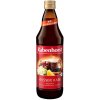 Rabenhorstv Zimné horúce jablko baza med Bio 0,75 l