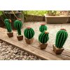 3D Drevený kaktus 3D Drevený kaktus