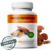 MycoMedica Reishi Triterpen 90 caps MycoMedica Reishi Triterpen 90 caps