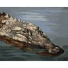 Zuty – Maľovanie podľa čísel – Aligátor hlava vo vode Ii (D. Rusty Rust), 40 × 50 cm, plátno + rám 8596530158134 Zuty – Maľovanie podľa čísel – Aligátor hlava vo vode Ii (D. Rusty Rust), 40 × 50 cm, plátno + rám 8596530158134
