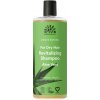 Urtekram Šampón aloe vera - suché vlasy BIO Obsah: 500 ml Urtekram Šampón aloe vera - suché vlasy BIO Obsah: 500 ml