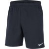 Nike Fleece Park 20 3420403