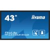 iiyama ProLite TF4339AS-B1AG, veřejný displej iiyama ProLite TF4339AS-B1AG, veřejný displej