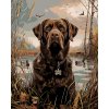 ZUTY HNEDÝ LABRADOR V RÁKOSÍ PRI RYBNÍKU Rámovanie vypnuté plátno na rám Rozmer 40 x 50 cm