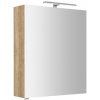Sapho Riwa - Zrkadlová skrinka s LED osvetlením 70x60x17 cm, 1 dvierka, pánty vpravo, dub Alabama RIW060-0022 Sapho Riwa - Zrkadlová skrinka s LED osvetlením 70x60x17 cm, 1 dvierka, pánty vpravo, dub Alabama RIW060-0022