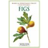 Figs (C Thornton)(Brožovaná) Figs (C Thornton)(Brožovaná)
