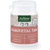 AniForte® MultiVETAL tabletky pre Psy - 250 ks AniForte® MultiVETAL tabletky pre Psy - 250 ks