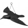 Plašič vtákov - Havran - letiaci Plašič vtákov - Havran - letiaci