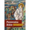 Panorama Bible - Starý zákon - Stephen J. Binz Panorama Bible - Starý zákon - Stephen J. Binz