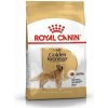 Royal Canin BHN Golden Retriever Adult 12 kg Royal Canin BHN Golden Retriever Adult 12 kg
