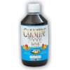 Nutristar Carnitine 70000 500ml (VÝPREDAJ) Nutristar Carnitine 70000 500ml (VÝPREDAJ)