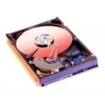 Western Digital Caviar Blue 320GB, 3,5", 7200RPM, 8MB, SATA, WD3200AAJS