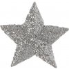 Dekoračná hviezda strieborná 10 kusov Dekoračná hviezda strieborná 10 kusov