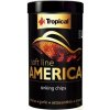 Tropical Soft Line America Size L tin 100 ml / 52g Tropical Soft Line America Size L tin 100 ml / 52g