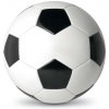 Futbalová lopta Futbalová lopta