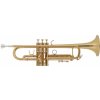 Bacio Instruments BTR-200GR Bacio Instruments BTR-200GR
