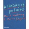 History of Pictures History of Pictures