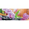 ForWall Fototapeta panoramatická vliesová Orchidea 2 250 x 104 cm