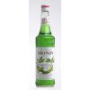 Monin Banane Verte - Zelený banán 0,7l (holá láhev) Monin Banane Verte - Zelený banán 0,7l (holá láhev)