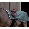 EQUITHÉME Deka bedrová Tyrex ECO Equithème, s fleecom, nepremokavá, green Dĺžka chrbta: 125 cm EQUITHÉME Deka bedrová Tyrex ECO Equithème, s fleecom, nepremokavá, green Dĺžka chrbta: 125 cm