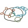 ARTEIN GASKETS Sada tesnení 50ccm pre Minarelli AM (00-) ARTEIN GASKETS Sada tesnení 50ccm pre Minarelli AM (00-)